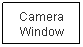 Text Box: Camera Window
